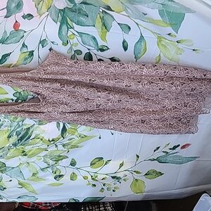 Dress Barn Lace Wedding Dress in Beige